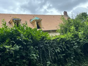 Vue d’ensemble des lucarnes dans la toiture de la maison
