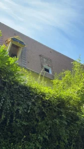Maison et toiture vues depuis le jardin derrière la haie