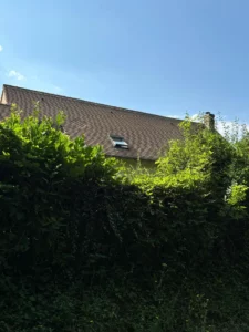 Toiture de la maison au-dessus d’une haie